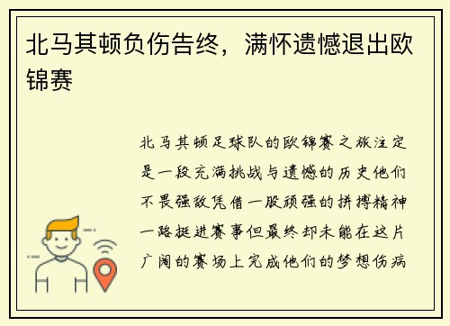 北马其顿负伤告终，满怀遗憾退出欧锦赛