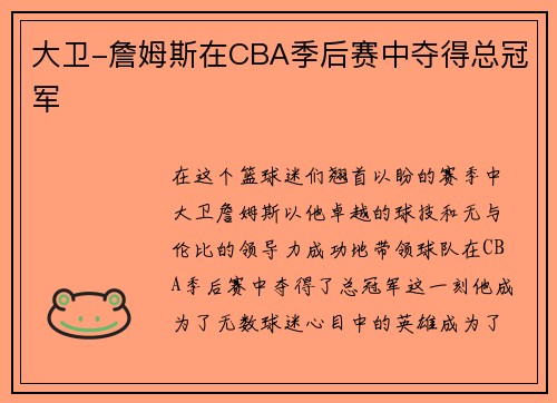 大卫-詹姆斯在CBA季后赛中夺得总冠军