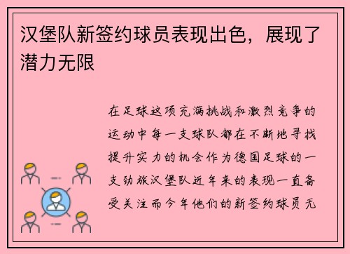 汉堡队新签约球员表现出色,展现了潜力无限