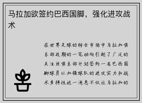 马拉加欲签约巴西国脚,强化进攻战术