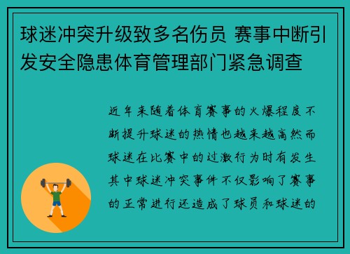 球迷冲突升级致多名伤员 赛事中断引发安全隐患体育管理部门紧急调查