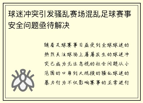 球迷冲突引发骚乱赛场混乱足球赛事安全问题亟待解决
